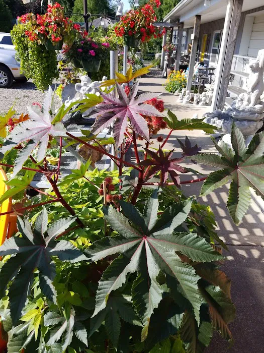 Showcase Gardens & Landscaping Picture 2