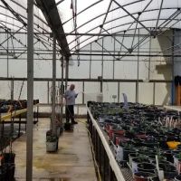 Showcase Gardens & Landscaping ico