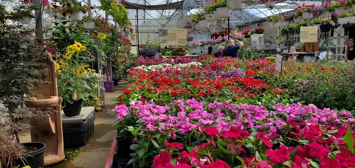 Showcase Gardens & Landscaping Picture 5