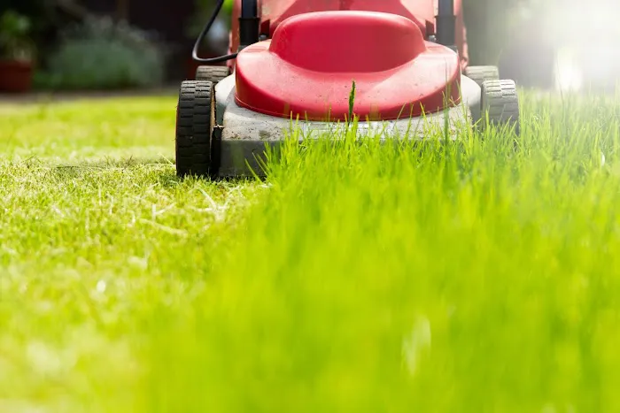 All About Lawns Picture 1