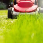 All About Lawns