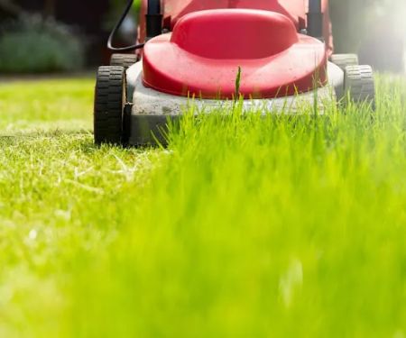 All About Lawns