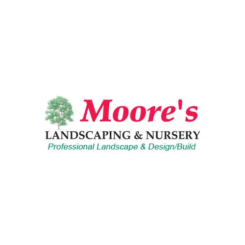Moore's Landscaping Picture 3