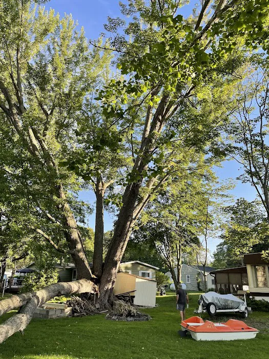 Complete Trees & More LLC Picture 9