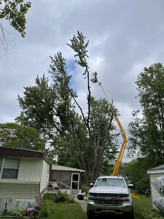 Complete Trees & More LLC Picture 7