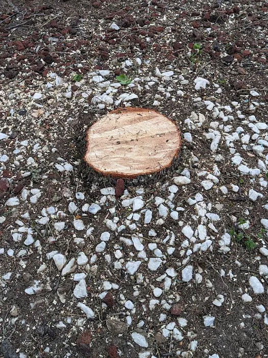 Complete Trees & More LLC Picture 10