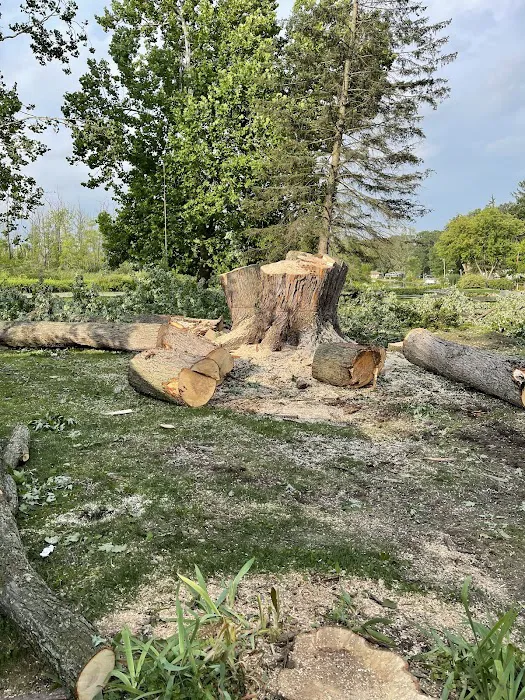 Complete Trees & More LLC Picture 6