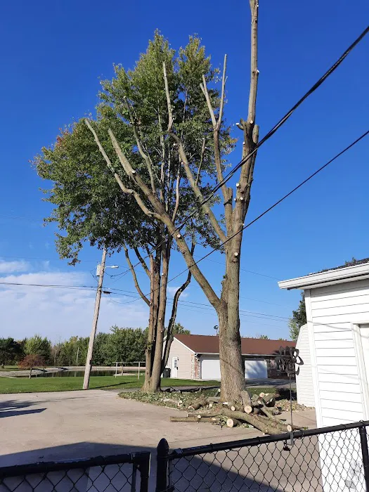 Complete Trees & More LLC Picture 3