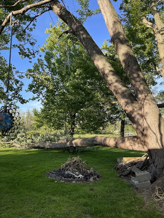 Complete Trees & More LLC Picture 4
