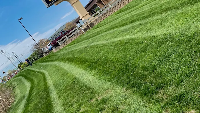 Alvarado Lawn & Landscape LLC Picture 5
