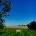 Alvarado Lawn & Landscape LLC