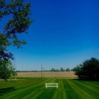 Alvarado Lawn & Landscape LLC ico