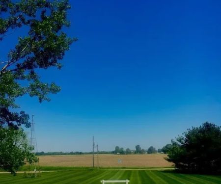 Alvarado Lawn & Landscape LLC