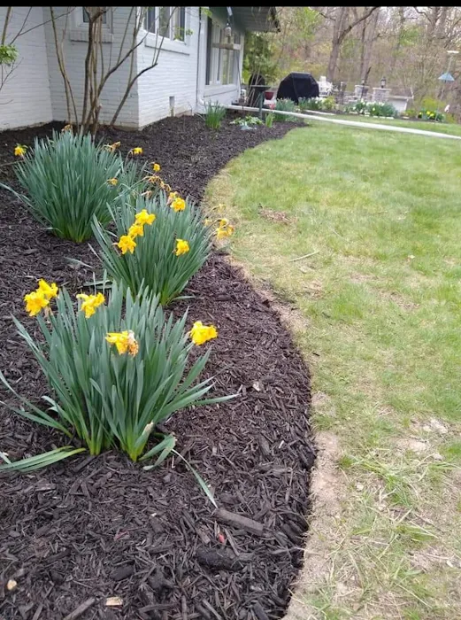 The Lawn Ranger Yards and More LLC Picture 8