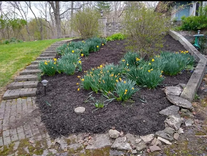 The Lawn Ranger Yards and More LLC Picture 10