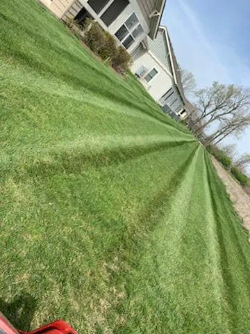 SNB Lawn Care Picture 8