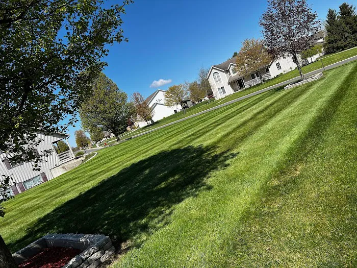 SNB Lawn Care Picture 10