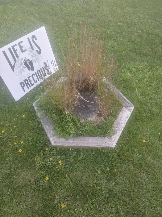 Grand Lake Lawn&Landscaping Picture 8