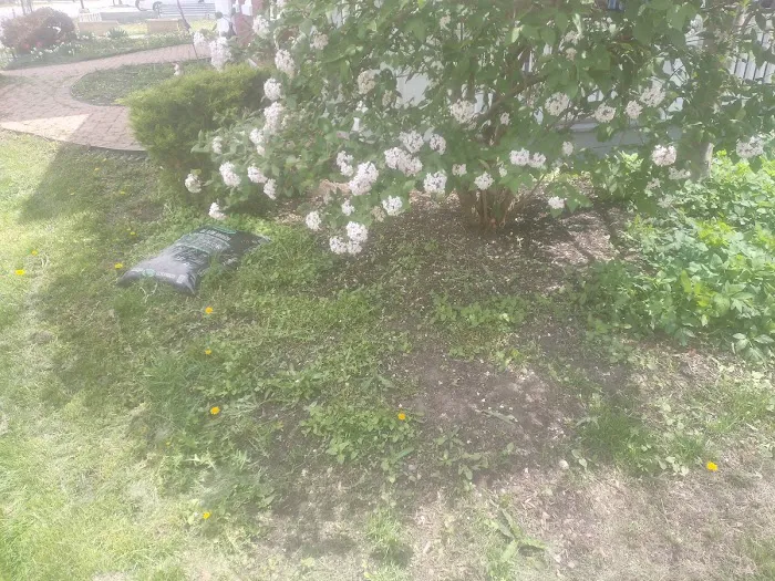 Grand Lake Lawn&Landscaping Picture 3