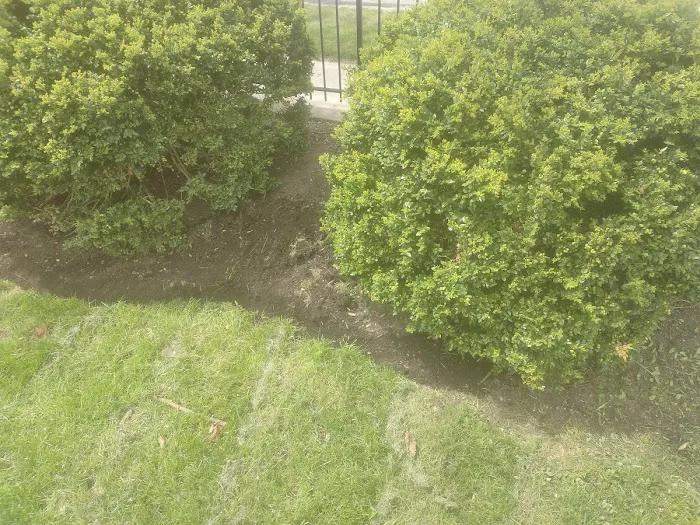 Grand Lake Lawn&Landscaping Picture 2