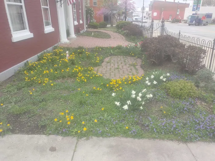 Grand Lake Lawn&Landscaping Picture 5