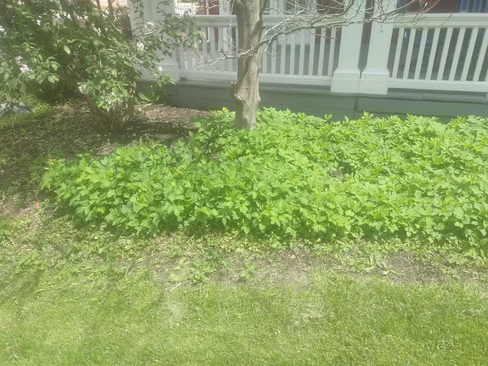 Grand Lake Lawn&Landscaping Picture 7