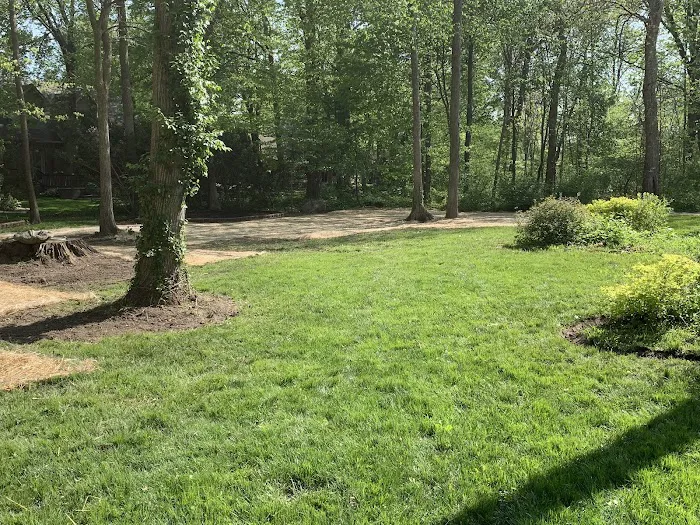Doctor Tree & Landscape Specialist Inc. Picture 7
