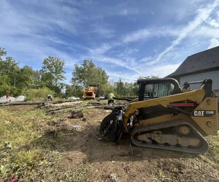 Doctor Tree & Landscape Specialist Inc.