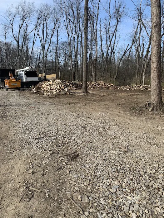 Doctor Tree & Landscape Specialist Inc. Picture 6