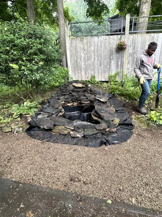 Doctor Tree & Landscape Specialist Inc. Picture 8