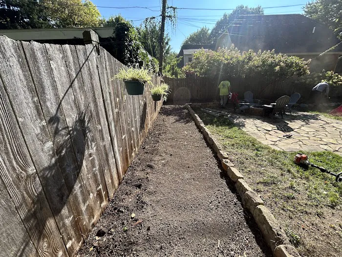 Doctor Tree & Landscape Specialist Inc. Picture 5
