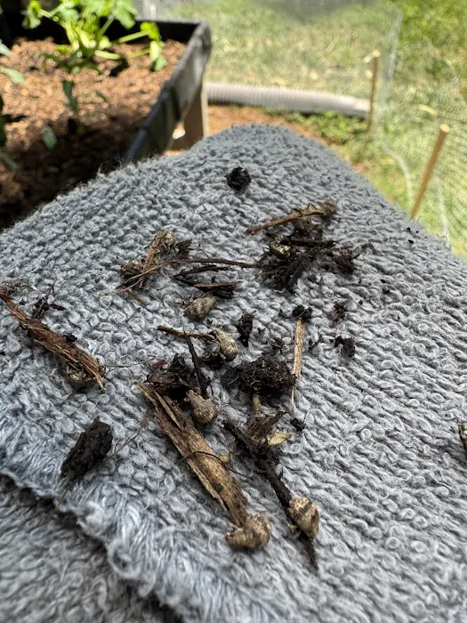 Indiana Mulch & Stone Picture 1
