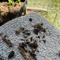 Indiana Mulch & Stone ico
