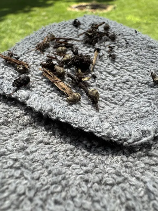 Indiana Mulch & Stone Picture 3