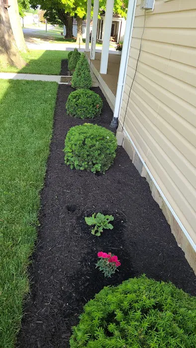 Hines Landscaping Picture 2