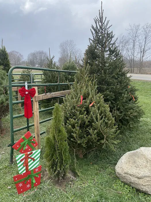 Sawyer's Lawn Care LLC Picture 9