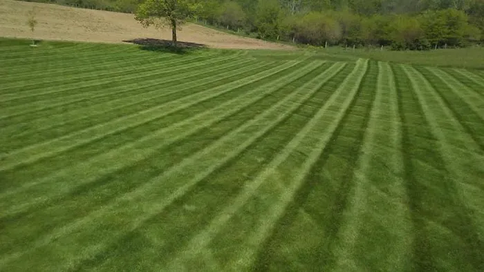 American Dream Landscaping Picture 7