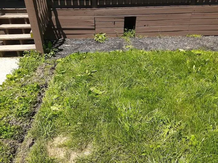 American Dream Landscaping Picture 6