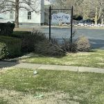 Sousa's lawn care service and home improvement