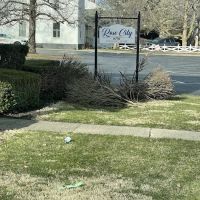 Sousa's lawn care service and home improvement ico