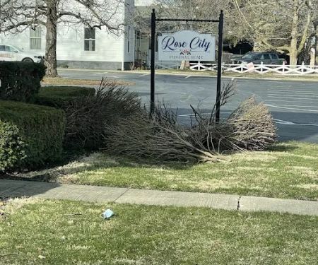 Sousa's lawn care service and home improvement