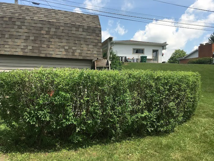 Sousa's lawn care service and home improvement Picture 8