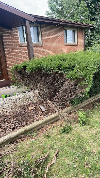 Sousa's lawn care service and home improvement Picture 6