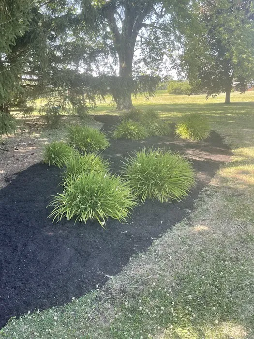 Sousa's lawn care service and home improvement Picture 3