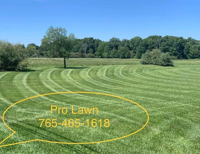 Professional Lawn Maintenance LLC Picture 8