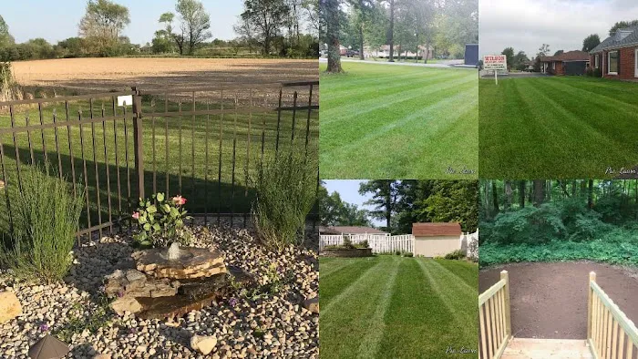 Professional Lawn Maintenance LLC Picture 3