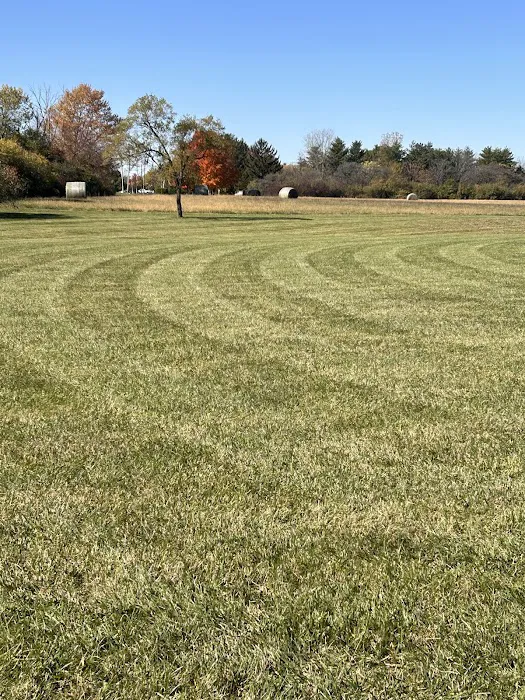 Professional Lawn Maintenance LLC Picture 7