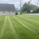 Professional Lawn Maintenance LLC