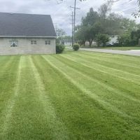 Professional Lawn Maintenance LLC ico