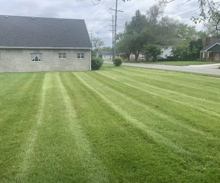 Professional Lawn Maintenance LLC